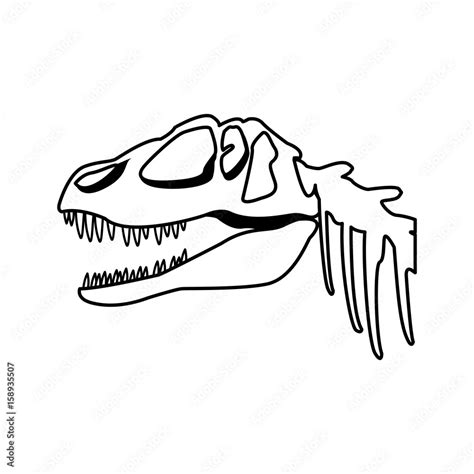 fossil dinosaur head skeleton lizard animal bone vector illustration ...