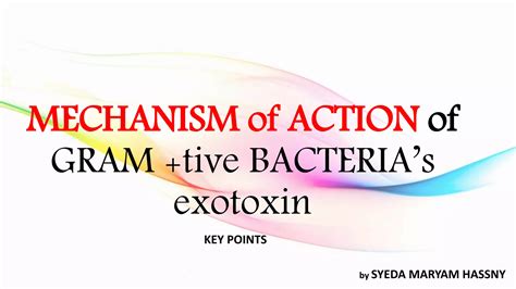 MECHANISM of ACTION of some GRAM positive BACTERIA’s exotoxin | PPT