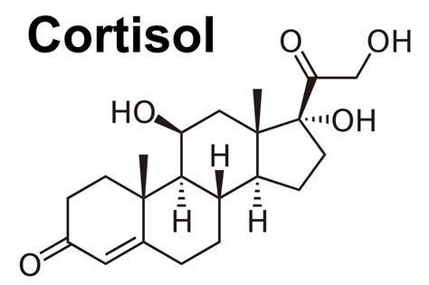 Glucocorticoids function, excess, deficiency, resistance and treatment