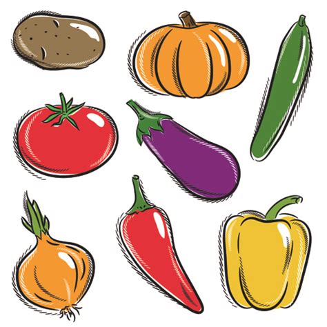 Sorts of hand drawing vegetables vector set 01 free download