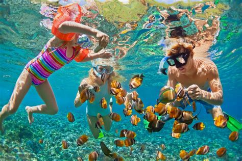 Snorkeling in Lakshadweep: An In-Depth Guide to Discovering the Underwater Paradise - Travel ...