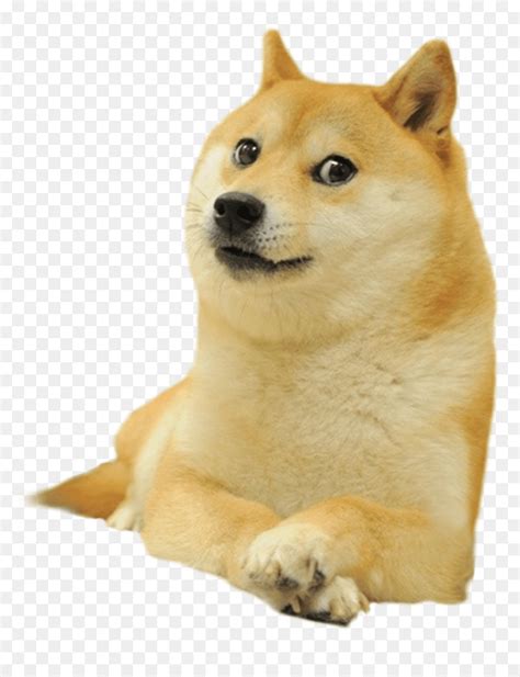 View 22 Cheems Baby Doge Meme Png - casequotestrong