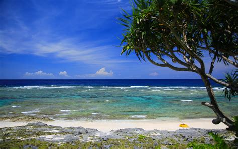 Okinoerabu Island (Okinoerabujima) | Travel Japan (Japan National Tourism Organization)