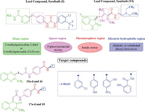 Rational design of the new proposed VEGFR-2 inhibitors. | Download Scientific Diagram