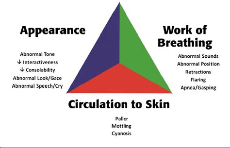 Figure 1 from The Pediatric Assessment Triangle: accuracy of its application by nurses in the ...