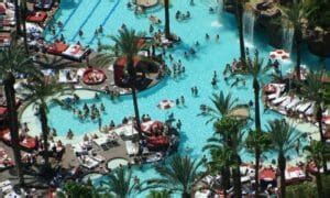 Flamingo Pool Las Vegas - Go Pool & Beach Pool Hours & Drink Prices