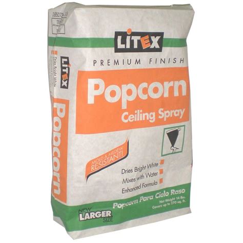 Litex 14 lb. Regular Popcorn Ceiling Spray-3013 - The Home Depot