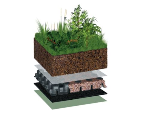 Intensive Green Roof System | Bimstore