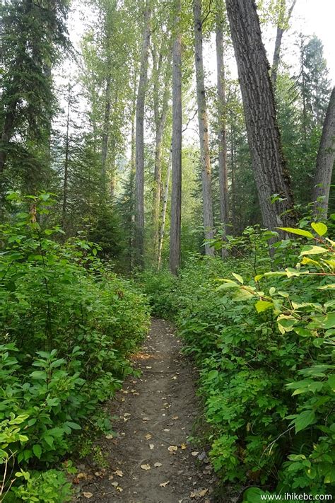 Hixon Falls & Chutes hikes (near Hixon BC) - ihikebc.com