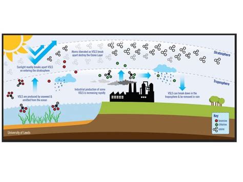 New ozone-destroying gases on the rise