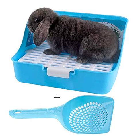 Best Rabbit Litter Box Guide For 2022 - Animal Corner