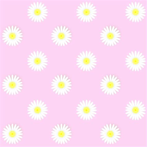 🔥 Download Pink Daisy Background by @marieg29 | Pink Daisy Backgrounds ...