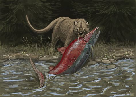 "One big catch" Amphicyon ingens, the largest of its kind, dragging a dying sabertooth salmon ...