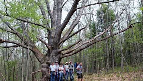 Finger Lakes Museum Kicks Off Busy Event Season | Life in the Finger Lakes