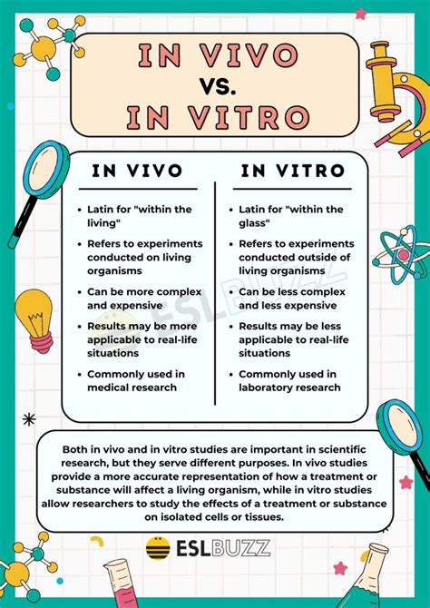 In Vivo vs. In Vitro: Understanding the Two Terms in Research - ESLBUZZ