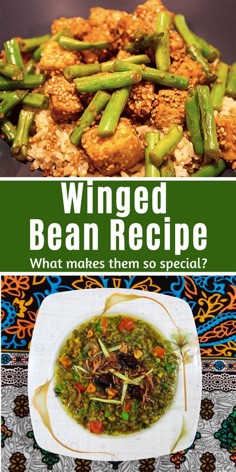 ᐅ WINGED BEAN RECIPE • What makes them so special? | Wing beans recipe, Bean recipes, Recipes