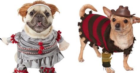 7 Scary Halloween Costumes For Dogs That Are Hilariously Adorable