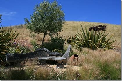 Wildlife Garden Design Tip: Plant in Masses ⋆ North Coast Gardening