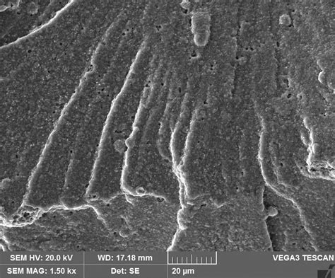 Fractures in the SEM | VGO Inc.