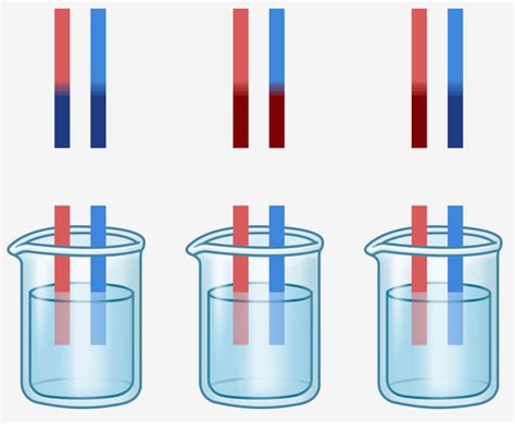 Litmus Test - Labster