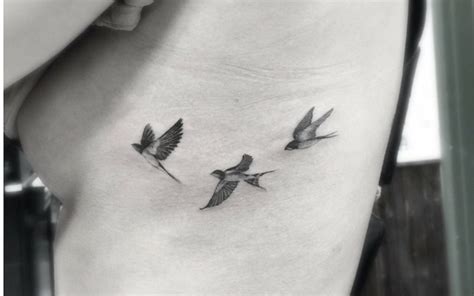 Pin by Evelyn on Ink | Small bird tattoos, Side tattoos, Bird tattoo ribs