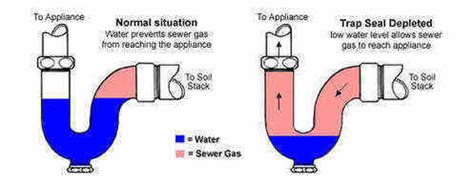 Bathroom Sinks - Undermount, Pedestal & More: Sewer Smell In Bathroom Sink