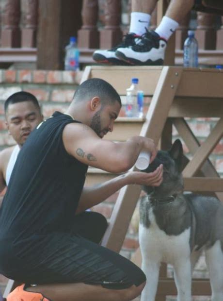 Drake took care of his pet dog at his home in LA. - 25 Pictures You ...