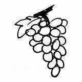 Grapes Coloring Pages  Best For Kids sketch template