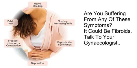 What are Fibroids? - Causes, Symptoms, and Treatment of Fibroids