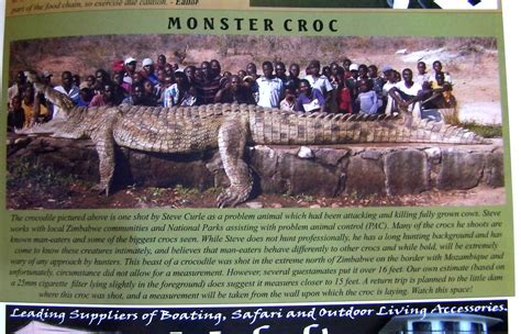 TravelXTreme: MONSTER CROC CAUGHT IN ZIM