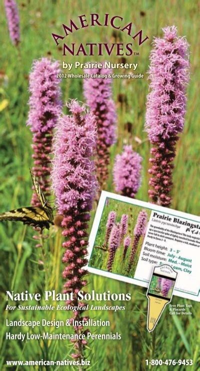 Download a wholesale catalog (pdf) - Prairie Nursery