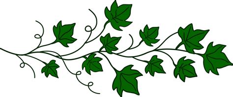 Climbing plants clipart - Clipground