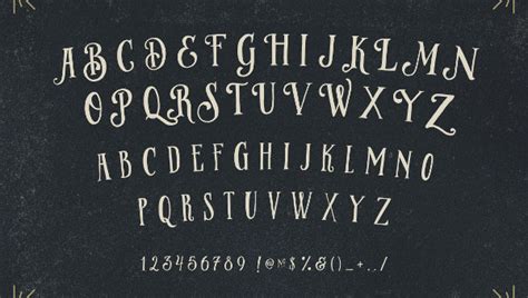 10+ Ornamental Fonts - Free OTF, TTF Format Download