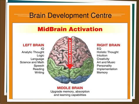 PPT - Midbrain Activation PowerPoint Presentation, free download - ID:7411089