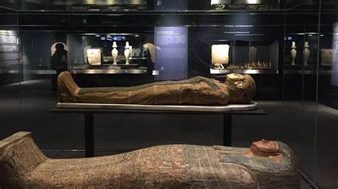 Egyptian Mummies from the British Museum: Exploring Ancient Lives | IMA Solutions