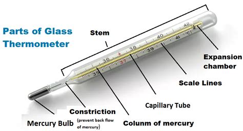 Labeled Diagram Of A Thermometer