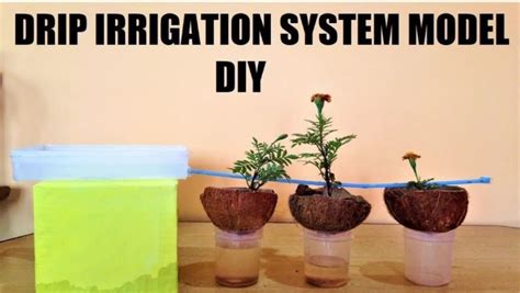 drip irrigation working model Archives - DIY School Project Working and Non Working Models for ...