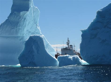 'Best in years': Icebergs plentiful this summer off Newfoundland | Lifestyle from CTV News