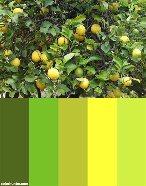 Lemon Yellow Color Palette | Cheval blanc