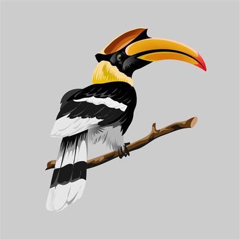 Hornbill bright tropical bird with an incredible yellow beak 1821991 Vector Art at Vecteezy