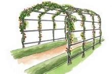 Ellipse Garden Pergola - Harrod Horticultural