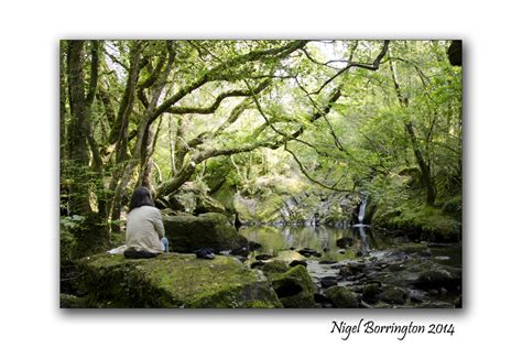 Glengarriff Nature Reserve | Nigel Borrington