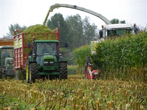 Getting Ready for Harvesting Corn Silage | Northwest NY Dairy ...