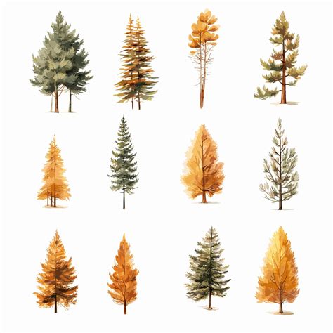 Premium Vector | Trees collection watercolor autum hand painted