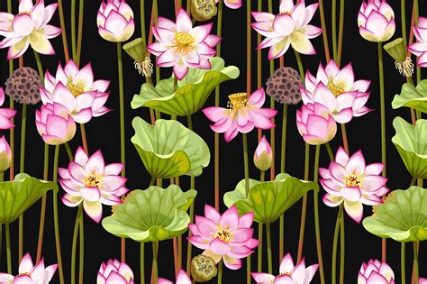 Lotus Patterns | Abstract floral paintings, Abstract flowers, Lotus art