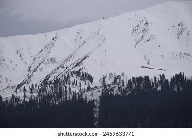 Gondola Ride Gulmarg Tallest Cable Car Stock Photo 2459633771 | Shutterstock