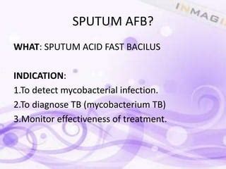 Collection sputum afb | PPT