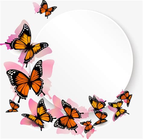 Butterfly Vector Png at GetDrawings | Free download