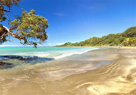 Little Known Beaches | Bay of Plenty NZ