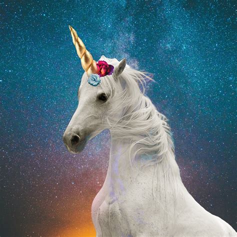 8 Funny Unicorn Quotes For Instagram, Tumblr and Mobile Wallpaper